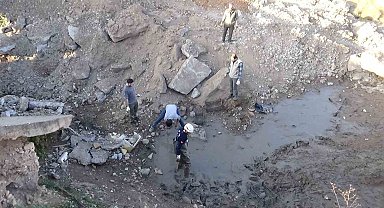 Şanlıurfa'da çamur bataklığında mahsur kalan 240 kaplumbağa kurtarıldı