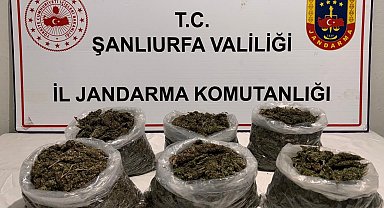 Şanlıurfa'da uyuşturucu operasyonu: 16 gözaltı