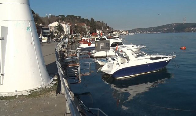 Sarıyer'de binlerce denizanası kıyıya vurdu
