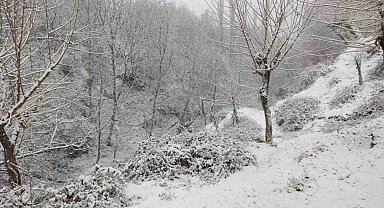 Sason'da etkili olan kar yağışı köy yollarını ulaşıma kapattı