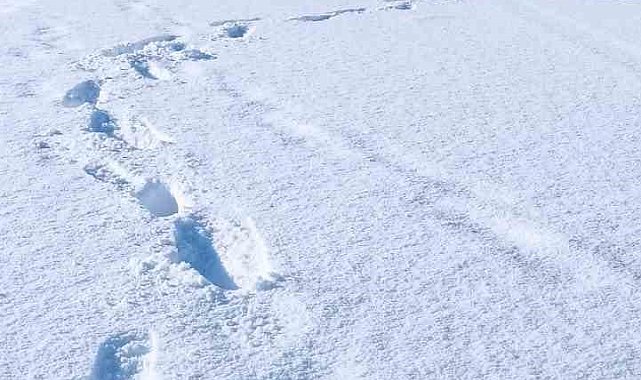 Şırnak'ta 19 köy yolu ulaşıma kapandı