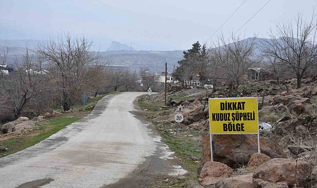 Siverek'te kuduz alarmı
