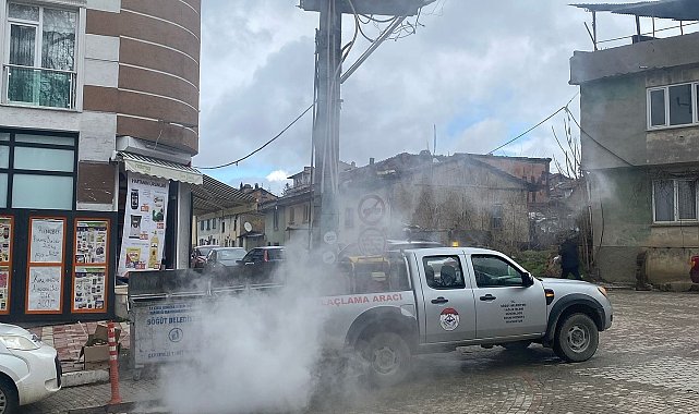 Söğüt Belediyesi'nden sinek ve larva ilaçlama atağı