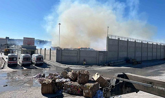 Söke Kipaş'taki yangını söndürme çalışmaları devam ediyor