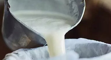 Süte su katılıyor mu nasıl anlaşılır?