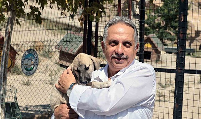 Talas'ta sevimli patiler için önemli çalışma