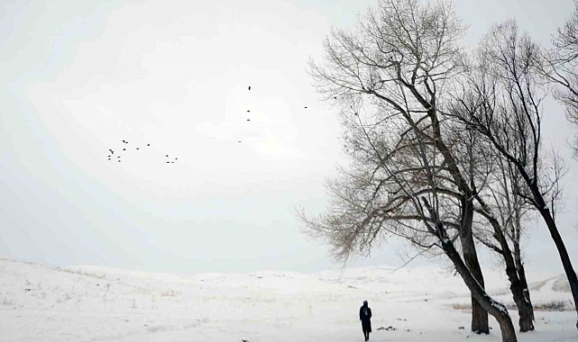 Termometreler Erzurum Tekman'da -25.2, Muğla Fethiye'de 15.3'ü gösterdi