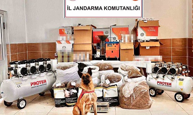 Tokat'ta kaçak tütün ve cep telefonu operasyonu: 3 gözaltı