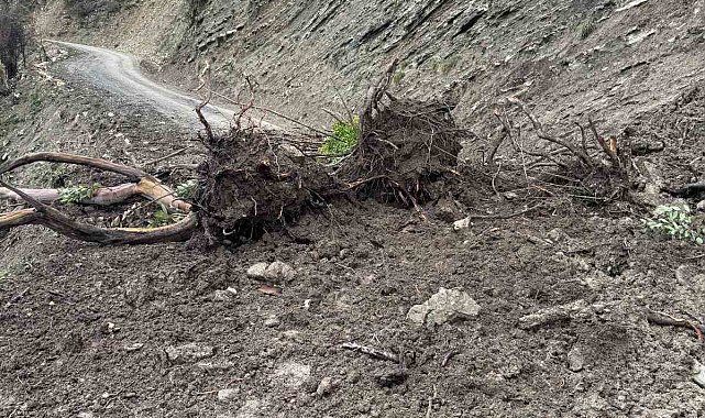 Türkeli'de toprak kayması: Bir köy yolu ulaşıma kapandı