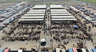 Türkiye'nin en büyük hayvan pazarı şap nedeniyle kapatıldı