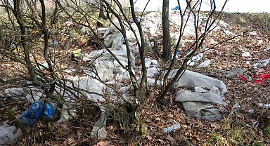 Tuzla'da mesire alanları çöplüğe döndü: Vatandaşlardan tepki