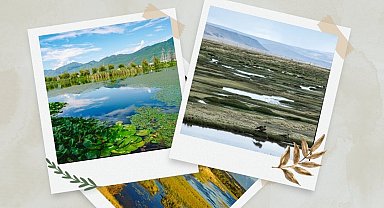 TVHB'den Dünya Sulak Alanlar Günü'ne ilişkin açıklama