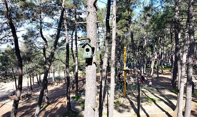 Ümraniye'de doğaya en güzel katkı: 'Kuş evleri'