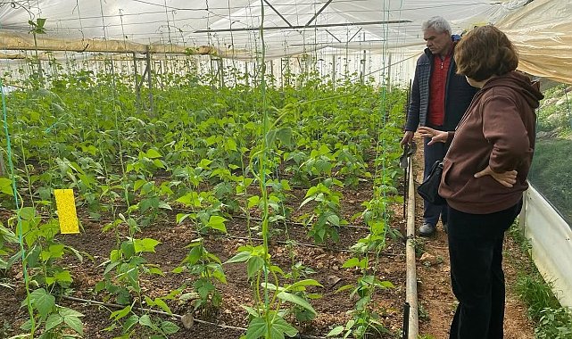 Üreticilere bitki sağlığı eğitimi verildi