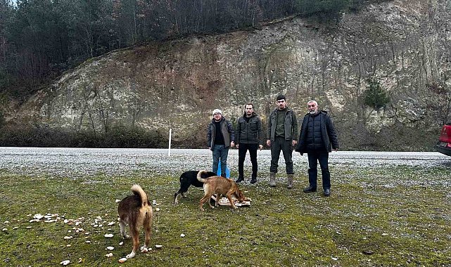 Vezirköprülü avcılar, yaban hayvanlarını besledi