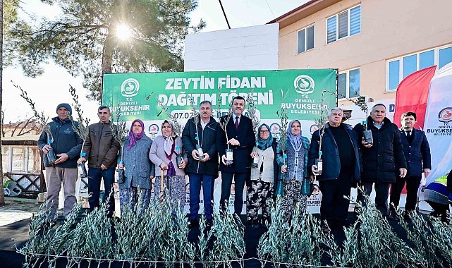 Zeytin fidanları toprakla buluşuyor, Denizli kazanıyor