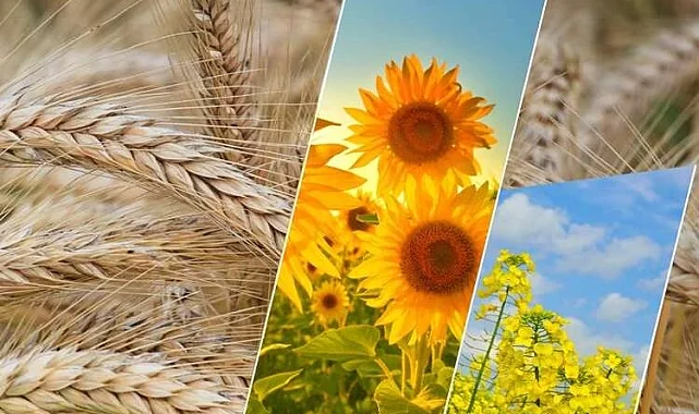 2,6 milyar TL'lik tarımsal destek ödemesi yapılacak