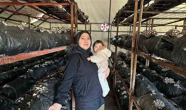 4 çocuk annesinin azmi: Yıllık 35 ton mantar üretiyor, talepleri karşılayamıyor
