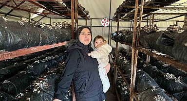 4 çocuk annesinin azmi: Yıllık 35 ton mantar üretiyor, talepleri karşılayamıyor