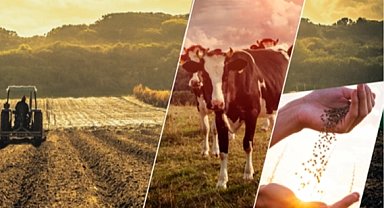 5,6 milyar TL'lik destekleme ödemeleri yapılıyor