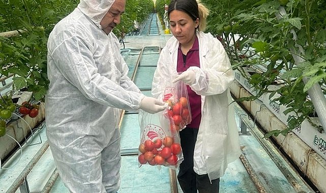 Afyonkarahisar'da Hasat Öncesi Pestisit Denetimleri devam ediyor