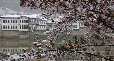 Amasya'ya mart ayında kar yağdı, çiçekler kar beyazıyla kaplandı