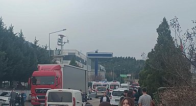 Amonyaktan zehirlendiler