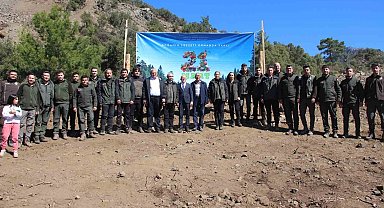 Antalya'da 700 fidan toprakla buluştu