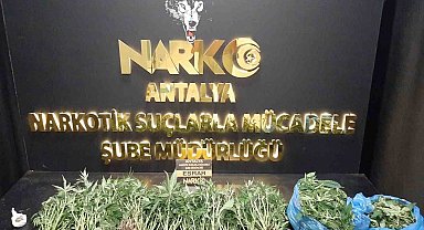 Antalya'da son 1 haftada narkotik suçlarda 11 şahıs tutuklandı