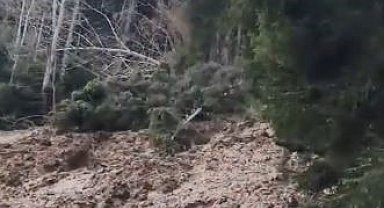 Artvin'de heyelan ormanı yerle bir etti, köy yolunu ulaşıma kapattı