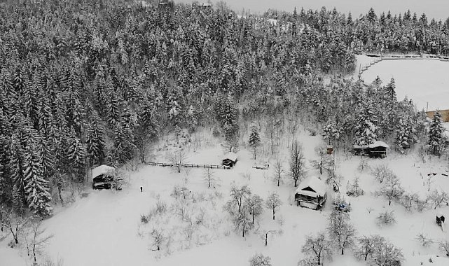 Artvin'de zorlu kış şartlarında boğa bakımı güçleşiyor