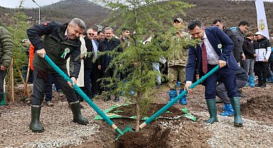 Artvin'de 21 Mart'a özel fidan dikimi