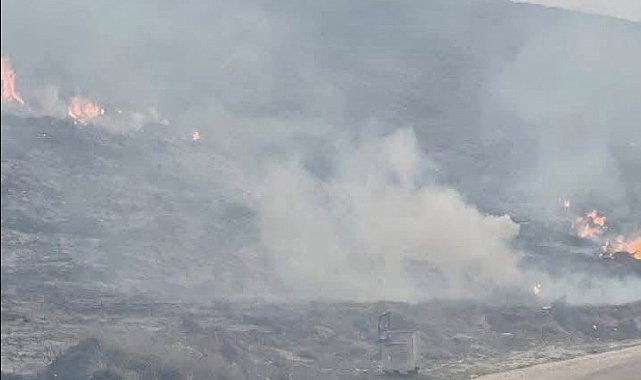 Avşa Adası'nda çıkan yangın kontrol altına alındı