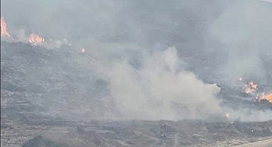Avşa Adası'nda çıkan yangın kontrol altına alındı