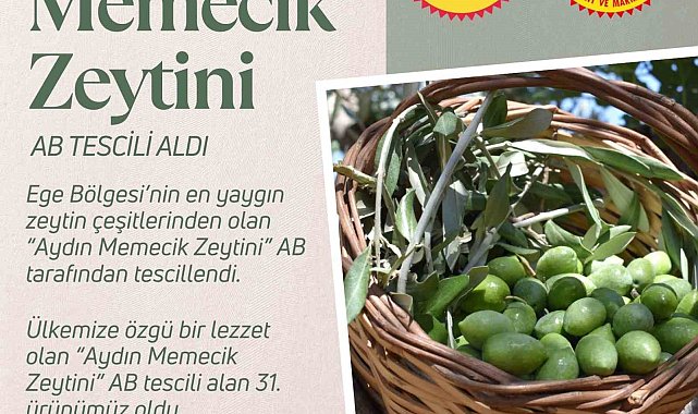 Aydın Memecik Zeytini, AB tarafından tescillendi