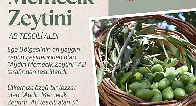 Aydın Memecik Zeytini, AB tarafından tescillendi
