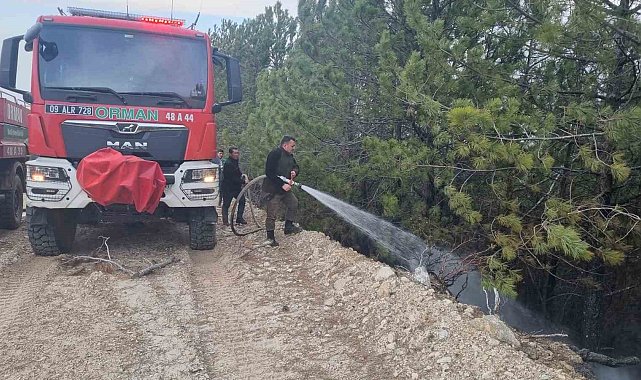 Aydın'daki orman yangını kontrol altına alındı
