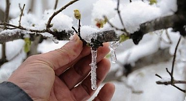 Aydın'ın doğu ilçelerine zirai don uyarısı
