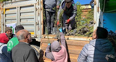 Ayvacık'ta 3 bin fidan dağıtıldı