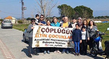 Ayvalık'ta hayvanseverler kuruyan ağaçların yerine yeni fidanlar dikti