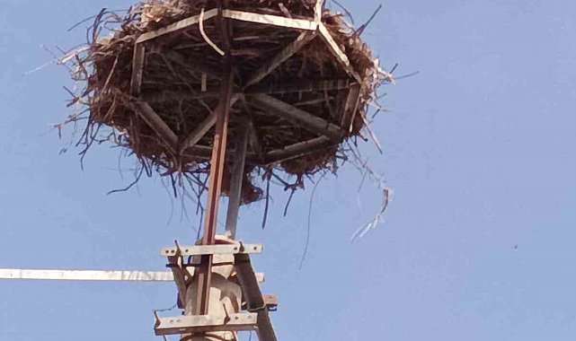 Baharın müjdecisi leylekler Kepsut'ta geldi