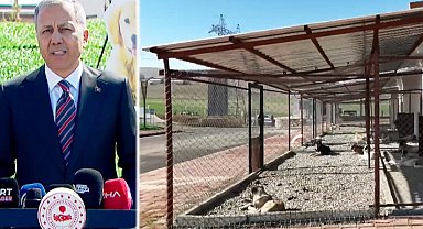 Bakan Yerlikaya Batman'dan açıkladı... Sahipsiz hayvanlarla ilgili belediyeler iki ayda bir denetlenecek