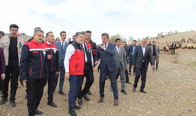 Bakan Yumaklı, Cudi Dağı eteklerinde kuzu koyun buluşmasını izledi