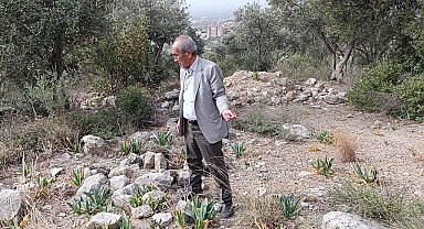 Bakımsız bebek mezarlığı tepkilere neden oluyor