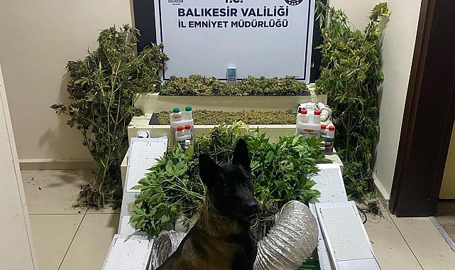 Bandırma'da zehir tacirlerine geçit yok: 1 gözaltı