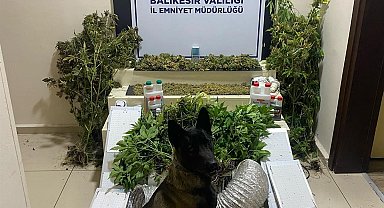 Bandırma'da zehir tacirlerine geçit yok: 1 gözaltı