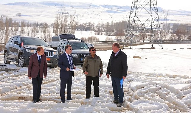 Bayburt'ta sahipsiz sokak hayvanları için çalışma başlatıldı