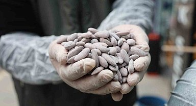 Bayram sofralarının vazgeçilmezi 'beyaz altın' için kazanlar dönmeye başladı