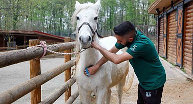 Bayramda doğanın kalbi Ormanya'da atacak