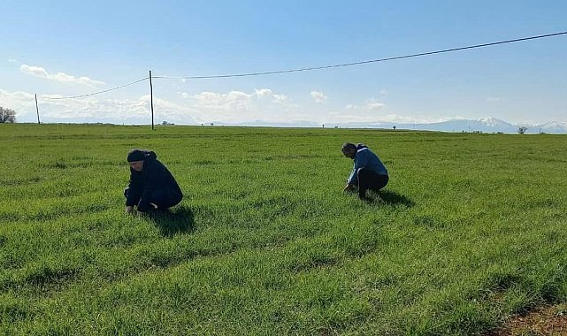 Beyşehir'de zirai don kontrolü yapıldı